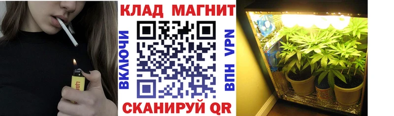 Названия наркотиков Медынь Гашиш  APVP  Кокаин  Меф  Бошки Шишки 
