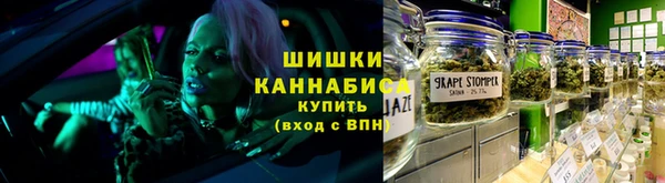 ПСИЛОЦИБИНОВЫЕ ГРИБЫ Осинники