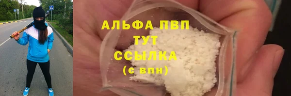 ПСИЛОЦИБИНОВЫЕ ГРИБЫ Осинники