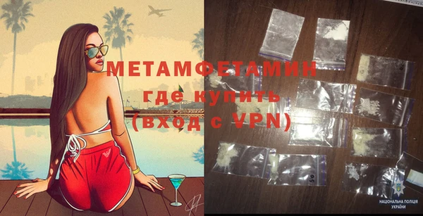 ПСИЛОЦИБИНОВЫЕ ГРИБЫ Осинники