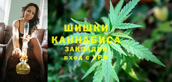 PSILOCYBIN Няндома