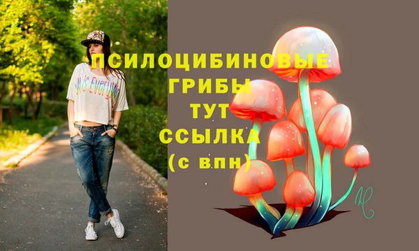 прущие крисы Нягань