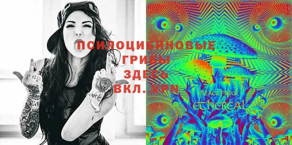 PSILOCYBIN Няндома