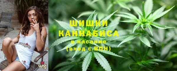 PSILOCYBIN Няндома