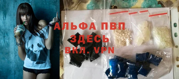PSILOCYBIN Няндома